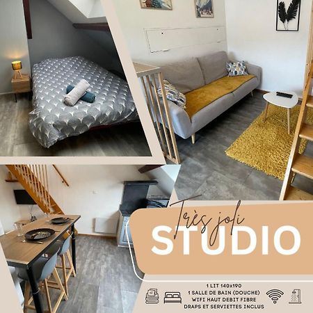 Superbe Studio A Proximite Du Centre-Ville Saint-Die-des-Vosges Exterior photo