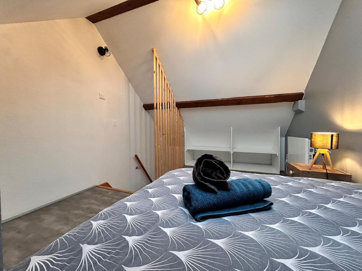 Superbe Studio A Proximite Du Centre-Ville Saint-Die-des-Vosges Exterior photo